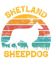 funny shetland sheepdog vine retro
