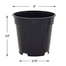 Black Plastic Standard Grow Pot