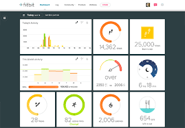 Fitbit Dashboard Updated With Weekly Activity And More
