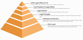 top 20 legal job les with