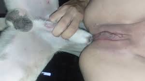 The dog filled the girl's pussy with hot sperm