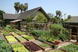 60 000lbs of organic food per acre