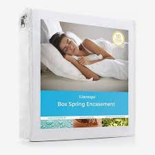 6 Best Bedbug Mattress Box Spring And