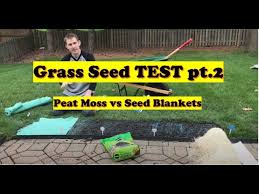 gr seed test pt 2 lawn care