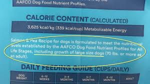 best large breed puppy foods 2022 dog