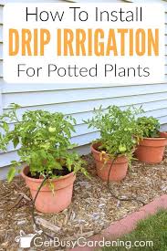 drip irrigation system for potted plants