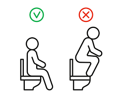Right and wrong behavior in toilet. WC rules sit on seat toilet but not  stand, warning sign. Signs allowed and prohibited to sit toilet. Correct  sitting. Vector illustration 6427638 Vector Art at