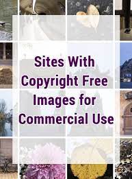 Download commercial use stock photos. 10 Sites With Copyright Free Images For Commercial Use