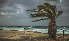 windy weather 1080p 2k 4k 5k hd