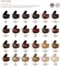 brown hair color chart dyed hair