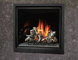 Fireplace Xtrordinair Traditional