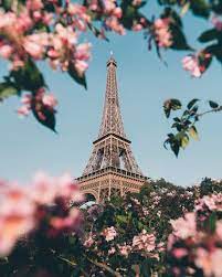 HD wallpaper: Eiffel Tower, Shallow ...