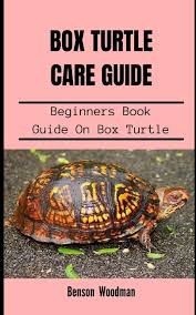 box turtle care guide beginners book