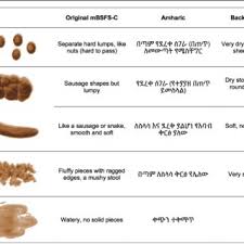 The Modified Bristol Stool Form Scale For Children Mbsfs C