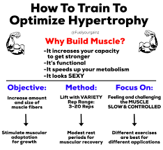 optimize hypertrophy muscle growth