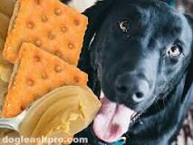 can-dogs-have-ritz-crackers-with-peanut-butter