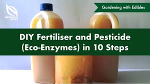 diy fertiliser pesticide eco enzymes