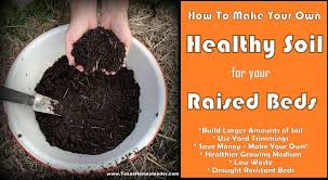 Building Garden Soil For Raised Beds