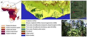 Supports a wide range of wildlife. Co Benefits And Trade Offs Of Agroforestry For Climate Change Mitigation And Other Sustainability Goals In West Africa Sciencedirect