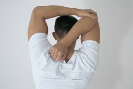 すぐできる肩甲骨ストレッチ│肩や背中、脇の筋肉を伸ばす | 健康×スポーツ『MELOS』
