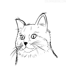 Any cat lover will tell you that even though their f. Cat Face Coloring Page Maine Coon Art Coloring Books