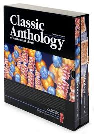 Classic Anthology Of Anatomical Charts 7th Edition 2 Volume Set