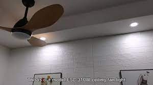 China Ceiling Light Fan And Ceiling Fan
