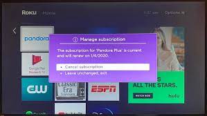 This is yet another reason why you should not use roku for subscriptions but instead sign up directly from the service. How To Cancel Your Roku Subscriptions In 2 Different Ways