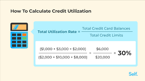 what is credit utilization self