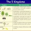 Characteristics of each of the 5 kingdoms and their meanings