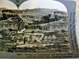 Garden Of Gethsemane Jerum