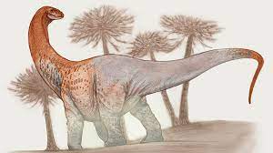 Hallan dinosaurio gigante en Río Negro: los huesos provocaron vuelco de  vehículo - - Elonce.com