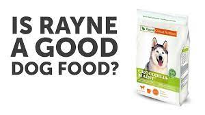 rayne dog food reviews dogfoodreviews com