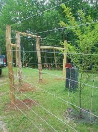 Fenced Vegetable Garden Deer Fence