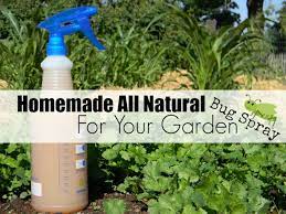 homemade all natural insect spray for