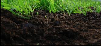 soil into high performing soil