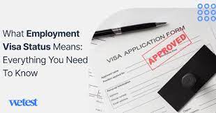 what employment visa status means