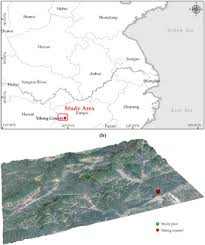 Seasonal patterns of reflectance indices, carotenoid pigments and photosynthesis of evergreen chaparral species. How Evergreen And Deciduous Trees Coexist During Secondary Forest Succession Insights Into Forest Restoration Mechanisms In Chinese Subtropical Forest Sciencedirect