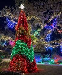 lights in bloom at selby gardens srq
