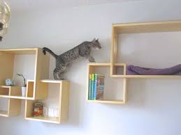 If you're looking for a wall shelf for your beloved cat, you couldn't have come to a better place. Diy Cat Wall Cat Wall Shelves Modern Cat Tree Cat Tree Designs