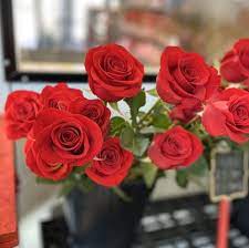 Or stop by the flower market to discover a huge selection of flowers for your delight along with all of the etcetera's! La Fleur Fresh Flower Market 47 Photos 32 Reviews Florists 10401 Anderson Mill Rd Austin Tx United States Phone Number Yelp