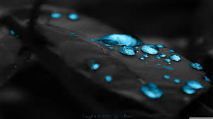 So here are blue wallpapers for free download. Black Leaf Wallpapers Top Free Black Leaf Backgrounds Wallpaperaccess