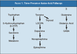 Precursor Amino Acid Therapy