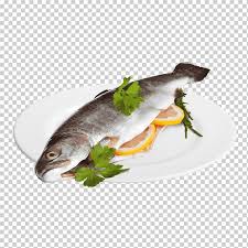 Recetas de pescados y mariscos. Tiburon Iridiscente Productos De Pescado De Salmon Cocina Pescado Animales Mariscos Receta Png Klipartz