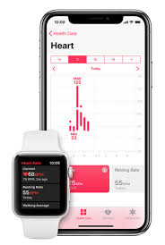 Guide To Lowering Your Resting Heart Rate With Wearables