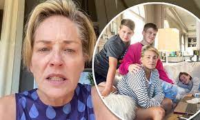 Stone has three adopted sons, roan joseph, laird vonne and quinn kelly. Sharon Stone Reveals She Was A Mess When One Of Her Three Sons Need Surgery Daily Mail Online