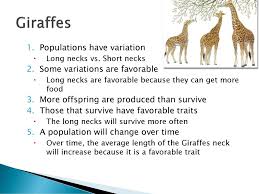 Darwins natural selection worksheet key natural selection. Natural Selection Friday January 16th Ppt Download