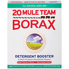 20 mule team borax to kill roaches