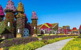 dubai miracle garden guide attractions