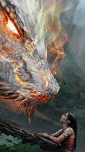 fantasy dragon with 4k wallpaper